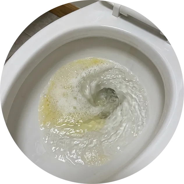 content-image